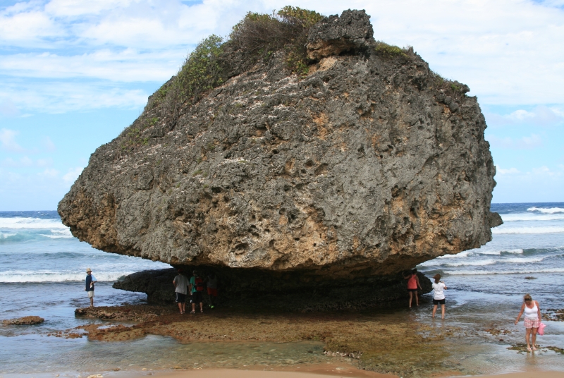 Barbados Bathsheba Rocks 2011